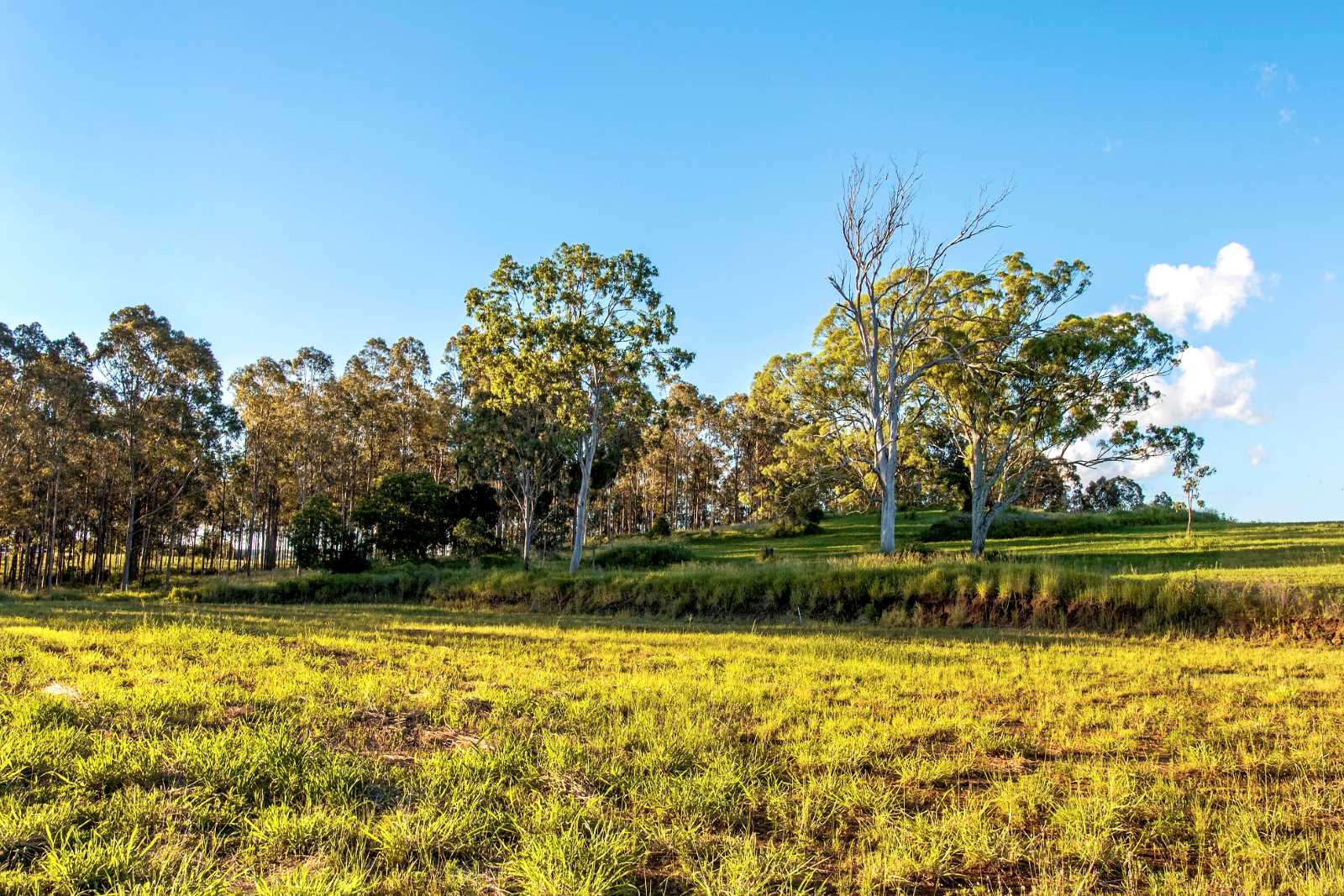 [Land for Sale] Hillview Estate, Boonah OpenLot